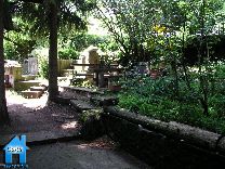 V133 picture