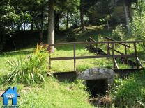 V251 picture