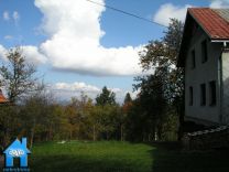V258 picture