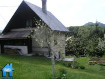 V335 picture
