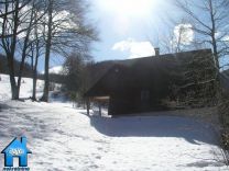 V401 picture