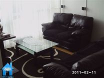 S445B picture