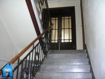 S446 picture