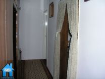 S559 picture