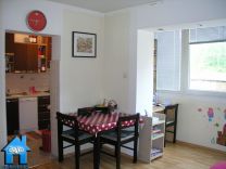 S591 picture