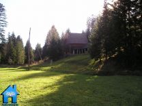 K013 picture