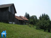 K619 picture