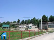 P010 picture