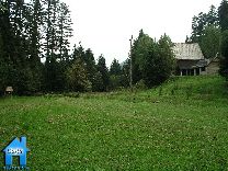 Z013 picture