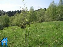 Z048 picture