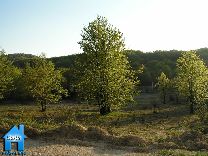 Z053 picture