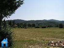 Z056 picture