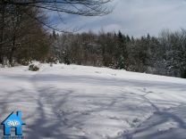 Z070 picture