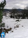 Z073 picture