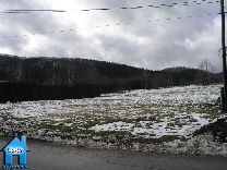 Z077 picture