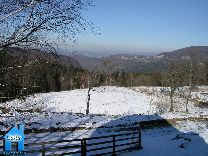 Z081 picture