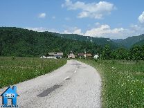 Z098 picture