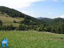 Z126 picture