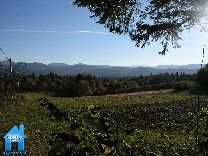 Z134 picture