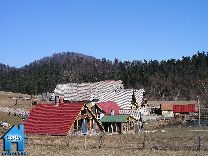 Z135 picture