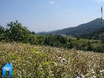 Z149 picture