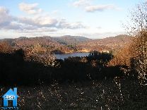 Z151 picture