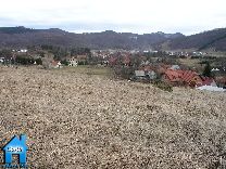 Z169 picture
