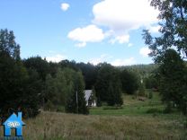Z176 picture