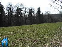 Z177 picture