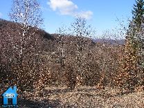 Z180 picture