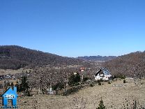 Z189 picture