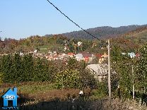 Z196 picture
