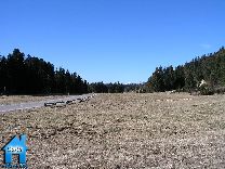 Z197 picture