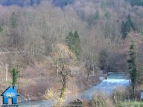 Z205 picture
