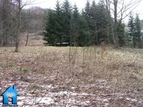Z213 picture