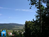 Z247 picture