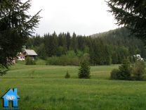 Z261 picture