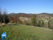 Z306 picture