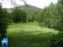 Z337 picture