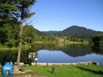 Z338 picture