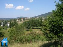 Z361A picture
