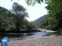 Z361 picture