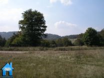 Z369B picture