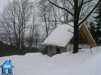 Z374 picture