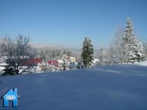 Z375 picture