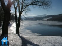 Z394 picture