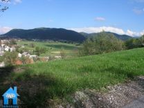 Z397 picture