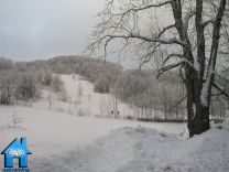 Z398 picture