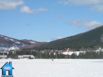 Z409 picture