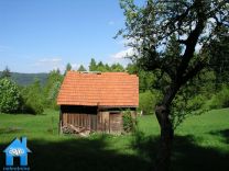 Z429 picture